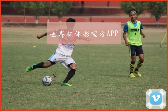 世界杯体彩官方APP